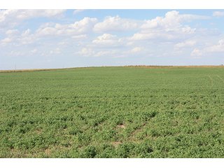 Property photo 25 - LAND AUCTION, 3255+/- Acres offered in 13 Tracts